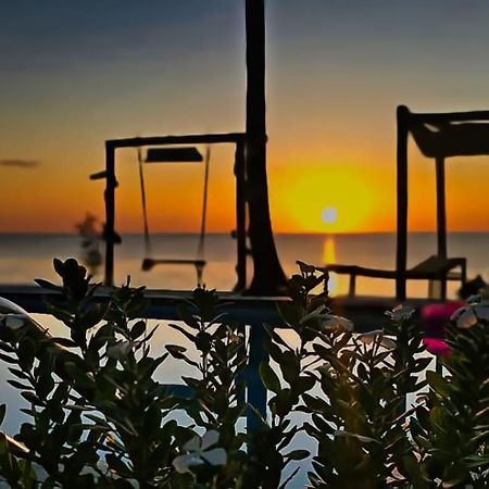 Avo Boutique Hotel Dikoni Exteriör bild
